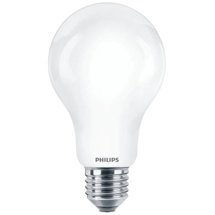 PHILIPS - Light Bulb - E27 - 120 W - 2000 Lumen - 2700 K - Frosted - Bulb image