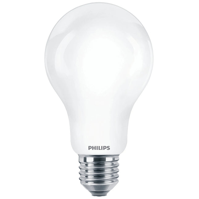 PHILIPS - Light Bulb - E27 - 120 W - 2000 Lumen - 2700 K - Frosted - Bulb image