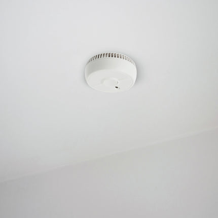 ANGELEYE - Optical smoke detector - SB5-AE - Life span: 10 years - With replaceable battery image