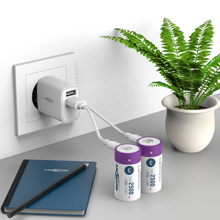ANSMANN - rechargeable battery Li-Ion 2x C 2500mAh + cable image
