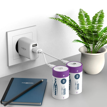 ANSMANN - rechargeable battery Li-Ion 2x D 6000mAh + cable image