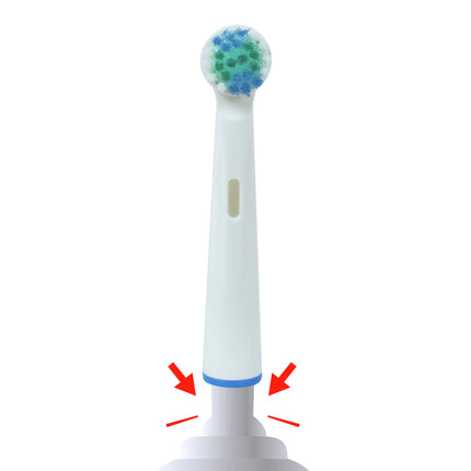 SCANPART - Attachment brushes Active Clean - 6 Pieces - White - EB20-6 image
