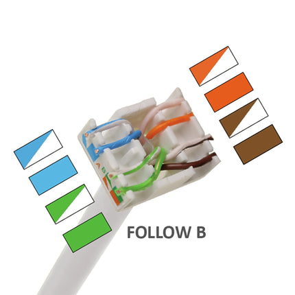 HIRSCHMANN - Plug - Adapter - UTP - Keystone RJ45(Female) - CAT 6A image