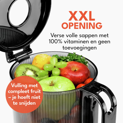 LEBENLANG - Slow juicer - 250 W - Black image